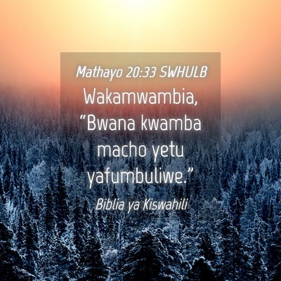 Picture 04 - Mathayo 20:33 SWHULB - Wakamwambia, “Bwana kwamba macho yetu - Bible Verse Picture