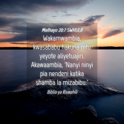 Picture 04 - Mathayo 20:7 SWHULB - Wakamwambia, kwasababu hakuna mtu yeyote - Bible Verse Picture