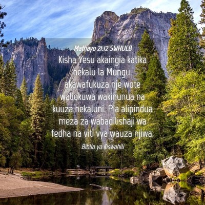 Picture 04 - Mathayo 21:12 SWHULB - Kisha Yesu akaingia katika hekalu la Mungu. - Bible Verse Picture