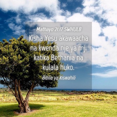 Picture 04 - Mathayo 21:17 SWHULB - Kisha Yesu akawaacha na kwenda nje ya mji katika - Bible Verse Picture