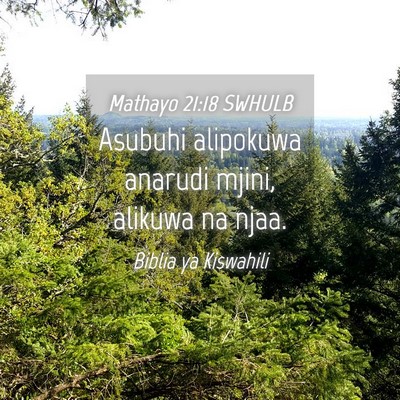 Picture 04 - Mathayo 21:18 SWHULB - Asubuhi alipokuwa anarudi mjini, alikuwa na - Bible Verse Picture