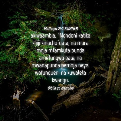 Picture 04 - Mathayo 21:2 SWHULB - akiwaambia, “Nendeni katika kijiji - Bible Verse Picture