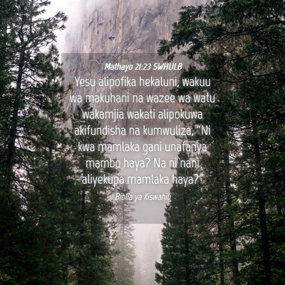 Picture 04 - Mathayo 21:23 SWHULB - Yesu alipofika hekaluni, wakuu wa makuhani na - Bible Verse Picture