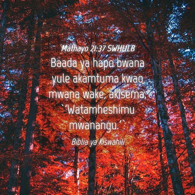 Picture 04 - Mathayo 21:37 SWHULB - Baada ya hapo bwana yule akamtuma kwao mwana - Bible Verse Picture