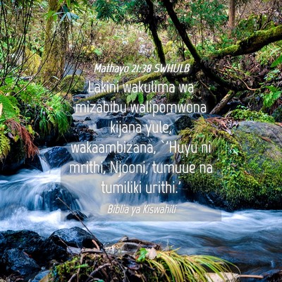Picture 04 - Mathayo 21:38 SWHULB - Lakini wakulima wa mizabibu walipomwona kijana - Bible Verse Picture
