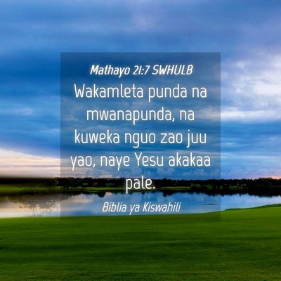 Picture 04 - Mathayo 21:7 SWHULB - Wakamleta punda na mwanapunda, na kuweka nguo zao - Bible Verse Picture