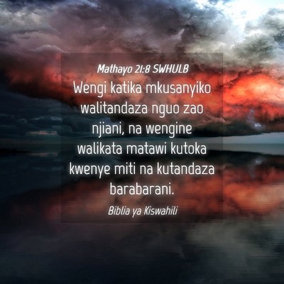 Picture 04 - Mathayo 21:8 SWHULB - Wengi katika mkusanyiko walitandaza nguo zao - Bible Verse Picture