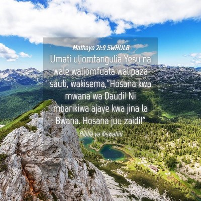 Picture 04 - Mathayo 21:9 SWHULB - Umati uliomtangulia Yesu na wale waliomfuata - Bible Verse Picture