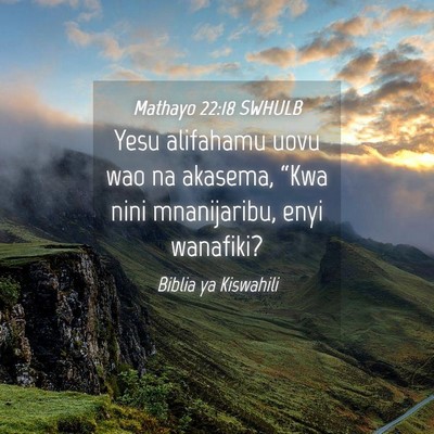 Picture 04 - Mathayo 22:18 SWHULB - Yesu alifahamu uovu wao na akasema, “Kwa nini - Bible Verse Picture