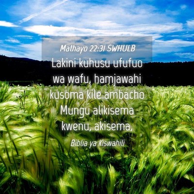 Picture 04 - Mathayo 22:31 SWHULB - Lakini kuhusu ufufuo wa wafu, hamjawahi kusoma - Bible Verse Picture