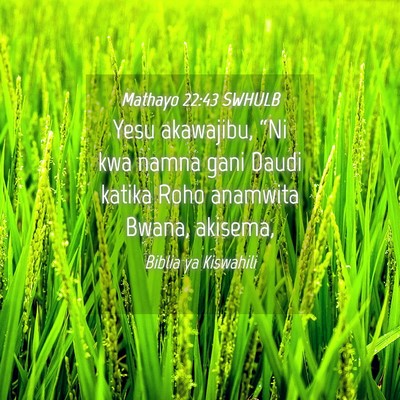 Picture 04 - Mathayo 22:43 SWHULB - Yesu akawajibu, “Ni kwa namna gani Daudi katika - Bible Verse Picture