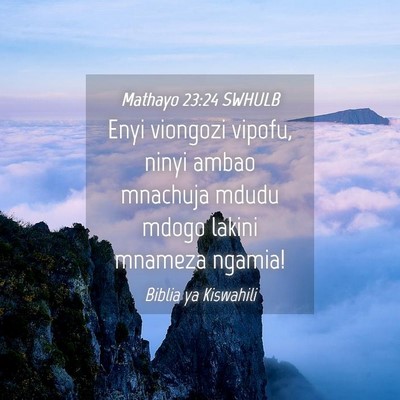 Picture 04 - Mathayo 23:24 SWHULB - Enyi viongozi vipofu, ninyi ambao mnachuja mdudu - Bible Verse Picture