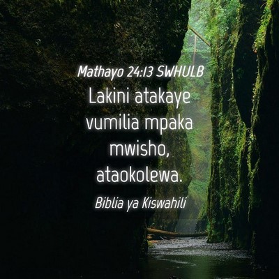 Picture 04 - Mathayo 24:13 SWHULB - Lakini atakaye vumilia mpaka mwisho, - Bible Verse Picture