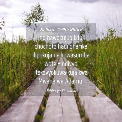 Picture 04 - Mathayo 24:39 SWHULB - na hawakujua kitu chochote hadi gharika ilipokuja - Bible Verse Picture