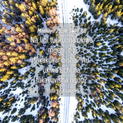 Picture 04 - Mathayo 25:38 SWHULB - Na lini tulikuona ukiwa mgeni, na - Bible Verse Picture