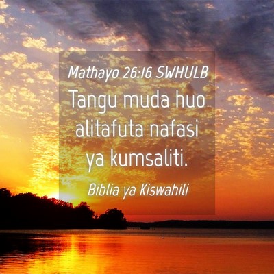 Picture 04 - Mathayo 26:16 SWHULB - Tangu muda huo alitafuta nafasi ya - Bible Verse Picture