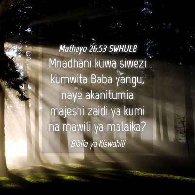 Picture 04 - Mathayo 26:53 SWHULB - Mnadhani kuwa siwezi kumwita Baba yangu, naye - Bible Verse Picture