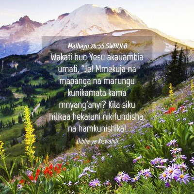 Picture 04 - Mathayo 26:55 SWHULB - Wakati huo Yesu akauambia umati, “Je! Mmekuja - Bible Verse Picture