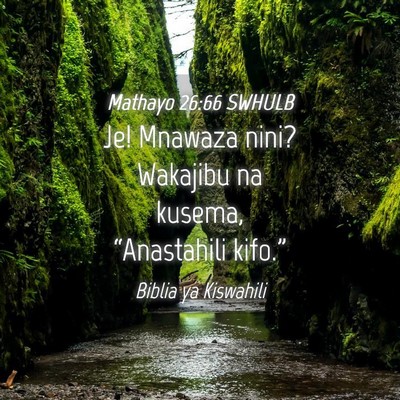 Picture 04 - Mathayo 26:66 SWHULB - Je! Mnawaza nini? Wakajibu na kusema, - Bible Verse Picture