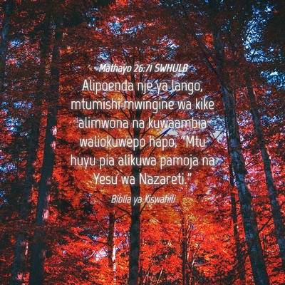 Picture 04 - Mathayo 26:71 SWHULB - Alipoenda nje ya lango, mtumishi mwingine wa kike - Bible Verse Picture