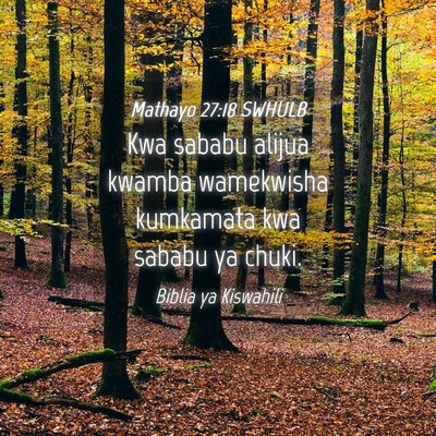 Picture 04 - Mathayo 27:18 SWHULB - Kwa sababu alijua kwamba wamekwisha kumkamata kwa - Bible Verse Picture
