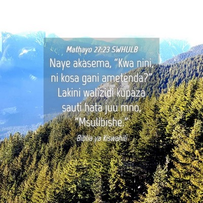 Picture 04 - Mathayo 27:23 SWHULB - Naye akasema, “Kwa nini, ni kosa gani - Bible Verse Picture