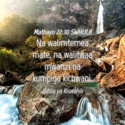 Picture 04 - Mathayo 27:30 SWHULB - Na walimtemea mate, na walitwaa mwanzi na kumpiga - Bible Verse Picture