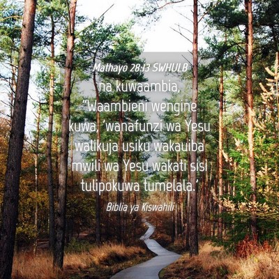 Picture 04 - Mathayo 28:13 SWHULB - na kuwaambia, “Waambieni wengine kuwa, - Bible Verse Picture