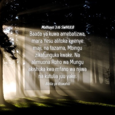 Picture 04 - Mathayo 3:16 SWHULB - Baada ya kuwa amebatizwa, mara Yesu alitoka - Bible Verse Picture