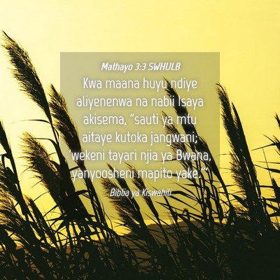 Picture 04 - Mathayo 3:3 SWHULB - Kwa maana huyu ndiye aliyenenwa na nabii Isaya - Bible Verse Picture