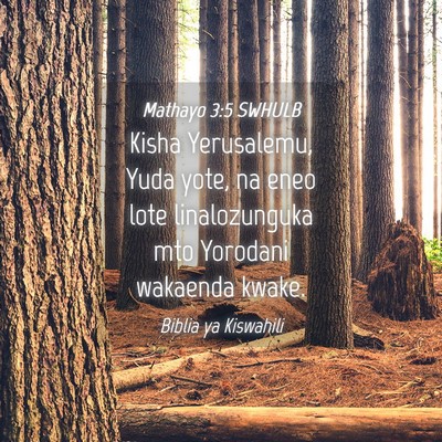 Picture 04 - Mathayo 3:5 SWHULB - Kisha Yerusalemu, Yuda yote, na eneo lote - Bible Verse Picture
