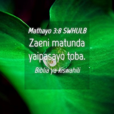 Picture 04 - Mathayo 3:8 SWHULB - Zaeni matunda yaipasayo - Bible Verse Picture