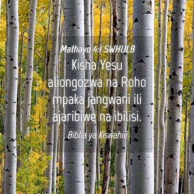 Picture 04 - Mathayo 4:1 SWHULB - Kisha Yesu aliongozwa na Roho mpaka jangwani ili - Bible Verse Picture