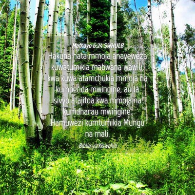 Picture 04 - Mathayo 6:24 SWHULB - Hakuna hata mmoja anayeweza kuwatumikia mabwana - Bible Verse Picture