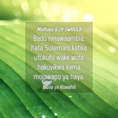 Picture 04 - Mathayo 6:29 SWHULB - Bado ninawaambia, hata Sulemani katika utukufu - Bible Verse Picture