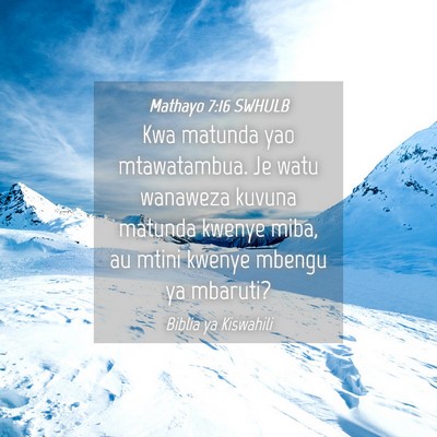 Picture 04 - Mathayo 7:16 SWHULB - Kwa matunda yao mtawatambua. Je watu wanaweza - Bible Verse Picture