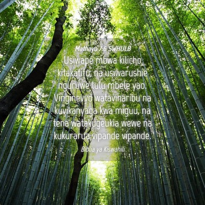 Picture 04 - Mathayo 7:6 SWHULB - Usiwape mbwa kilicho kitakatifu, na usiwarushie - Bible Verse Picture