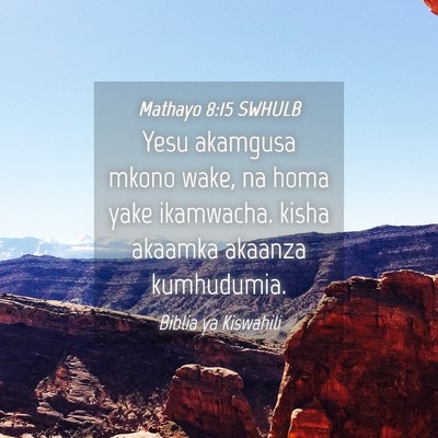 Picture 04 - Mathayo 8:15 SWHULB - Yesu akamgusa mkono wake, na homa yake ikamwacha. - Bible Verse Picture