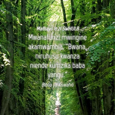 Picture 04 - Mathayo 8:21 SWHULB - Mwanafunzi mwingine akamwambia, “Bwana, - Bible Verse Picture
