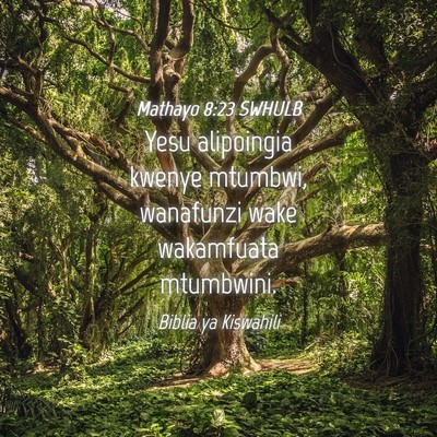 Picture 04 - Mathayo 8:23 SWHULB - Yesu alipoingia kwenye mtumbwi, wanafunzi wake - Bible Verse Picture