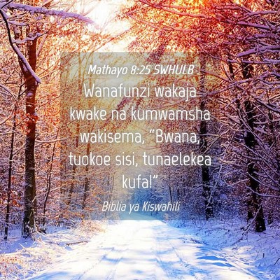 Picture 04 - Mathayo 8:25 SWHULB - Wanafunzi wakaja kwake na kumwamsha wakisema, - Bible Verse Picture