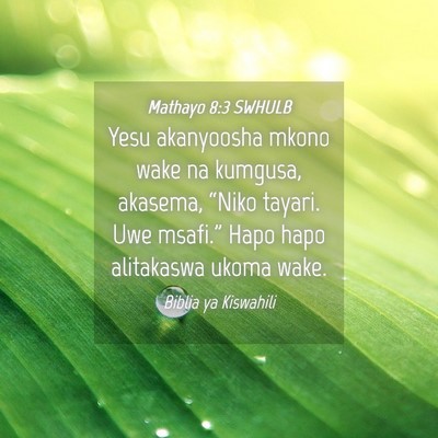 Picture 04 - Mathayo 8:3 SWHULB - Yesu akanyoosha mkono wake na kumgusa, akasema, - Bible Verse Picture