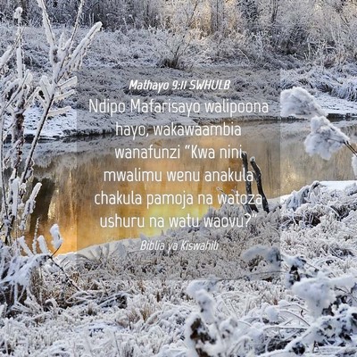 Picture 04 - Mathayo 9:11 SWHULB - Ndipo Mafarisayo walipoona hayo, wakawaambia - Bible Verse Picture