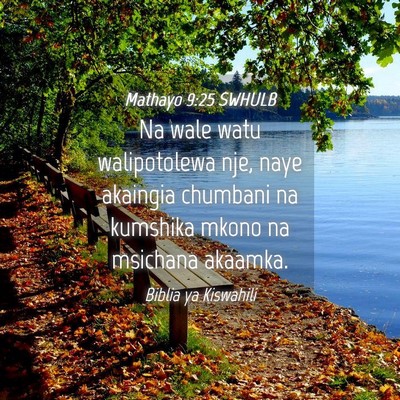 Picture 04 - Mathayo 9:25 SWHULB - Na wale watu walipotolewa nje, naye akaingia - Bible Verse Picture