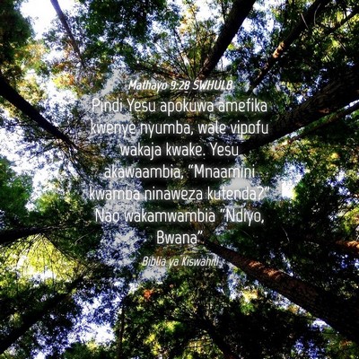 Picture 04 - Mathayo 9:28 SWHULB - Pindi Yesu apokuwa amefika kwenye nyumba, wale - Bible Verse Picture