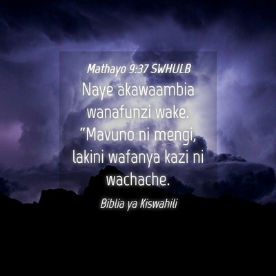 Picture 04 - Mathayo 9:37 SWHULB - Naye akawaambia wanafunzi wake. “Mavuno ni - Bible Verse Picture