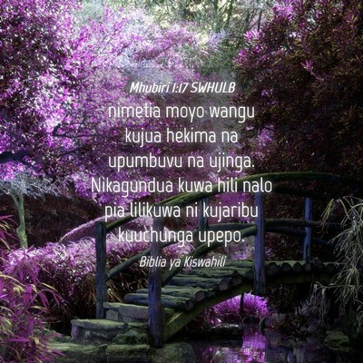 Picture 04 - Mhubiri 1:17 SWHULB - nimetia moyo wangu kujua hekima na upumbuvu na - Bible Verse Picture