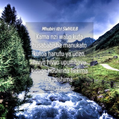 Picture 04 - Mhubiri 10:1 SWHULB - Kama nzi walio kufa husababisha manukato kutoa - Bible Verse Picture