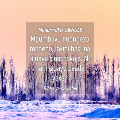 Picture 04 - Mhubiri 10:14 SWHULB - Mpumbavu huongeza maneno, lakini hakuna ajuaye - Bible Verse Picture
