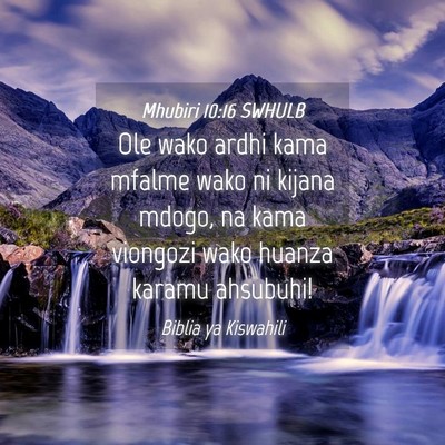 Picture 04 - Mhubiri 10:16 SWHULB - Ole wako ardhi kama mfalme wako ni kijana mdogo, - Bible Verse Picture